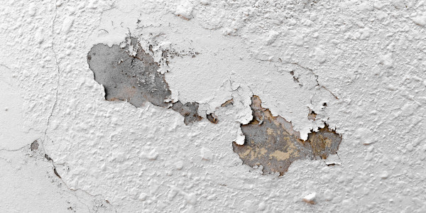Pintar Fachadas de Naves Industriales, Fábricas y Almacenes  Piera · Pintura Antihumedad / Antimoho para Humedades / Moho