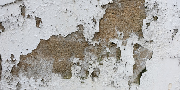 Pintar Fachadas de Empresas / Negocios / Locales Comerciales  Montmaneu · Pintura Antihumedad / Antimoho para Humedades / Moho