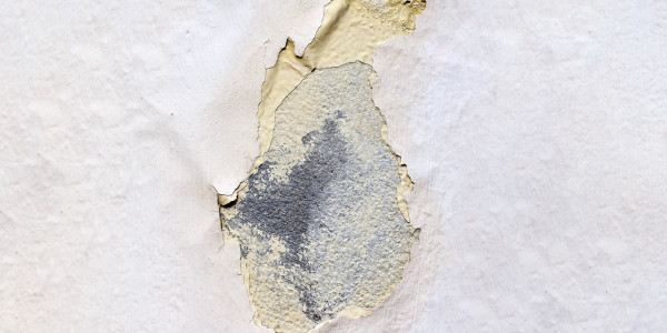 Pintar Fachadas de Empresas / Negocios / Locales Comerciales  Montmaneu · Impermeabilización de Filtraciones de Agua y Humedad